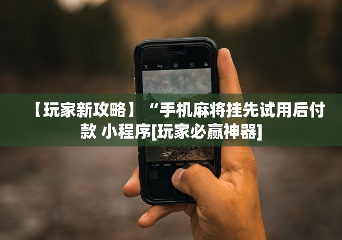 【玩家新攻略】“心悦填大坑开挂神器”(原来确实是有插件)