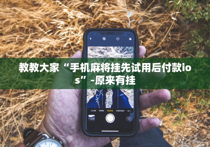 【重大消息】“牛魔王斗牛开挂[真的有挂]