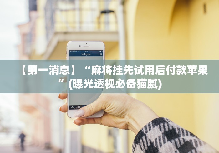 两分钟了解河洛杠次赢多输少技巧”详细外挂辅助详细教程