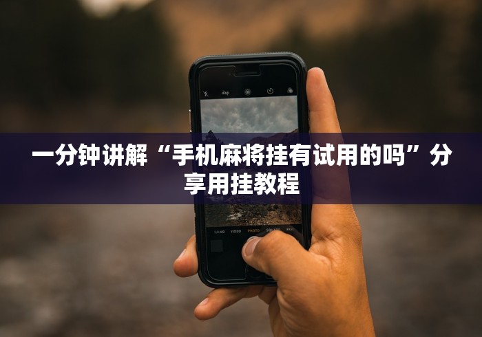 3分钟学会“闽游十三水有挂吗”(果然有透视挂)