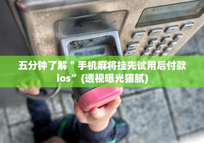 【盘点十款】“微乐山西麻将万能开挂器通用版”开挂方法