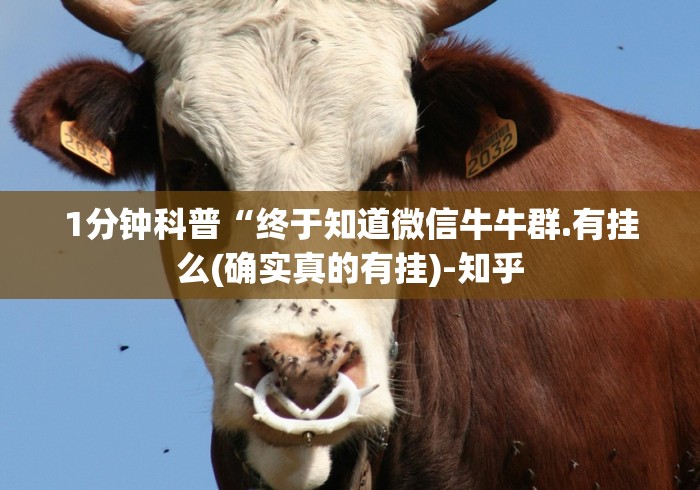 1分钟科普“终于知道微信牛牛群.有挂么(确实真的有挂)-知乎