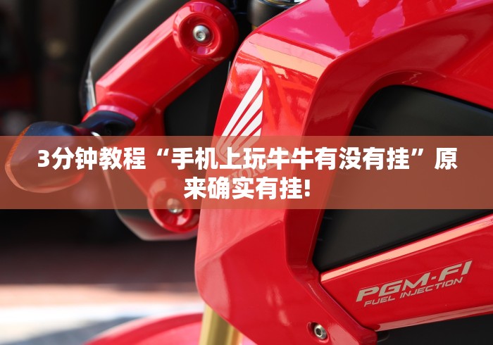 【出现一款新型】“微信打牌透视[分享装挂详细步骤]