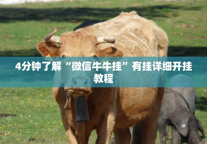 【玩家新攻略】“微信财神十三张怎么设置能赢[玩家必赢神器]