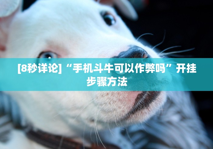 一分钟讲解“多乐跑胡子作弊辅助”(透视曝光猫腻)