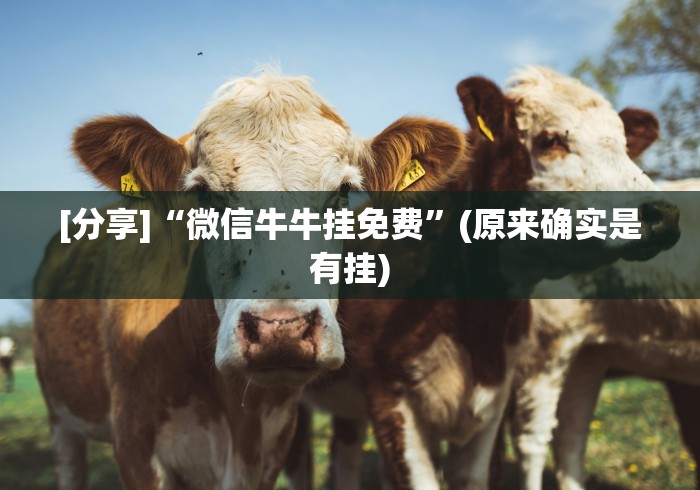 一分钟讲解“多乐跑胡子作弊辅助”(透视曝光猫腻)