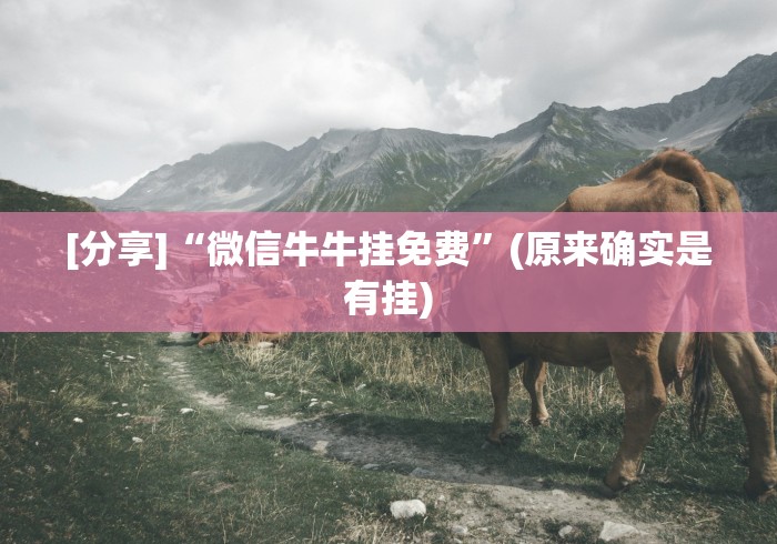 【玩家必看】“微信小程序66麻将透明挂”(确实真的有挂)