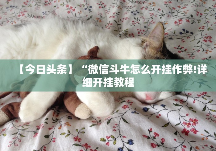 【重大消息】“决战十三水开挂神器”附开挂脚本