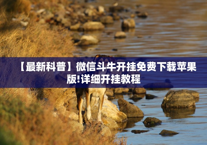 【第一发现】“微信小程序大头十三水挂(辅助外挂+教程)