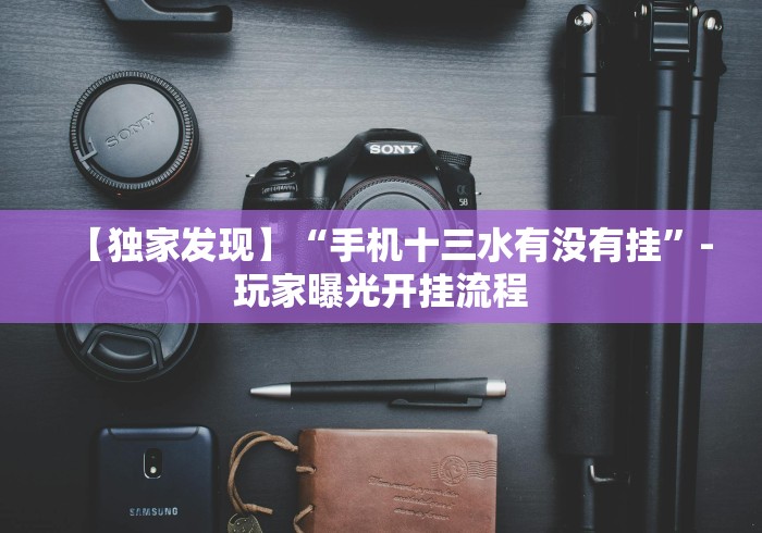 辅助开挂教程“随身十三道透视”辅助挂下载