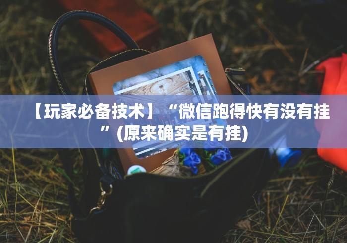 【技术分享】“微信炸金花 挂 试用”-玩家曝光开挂流程