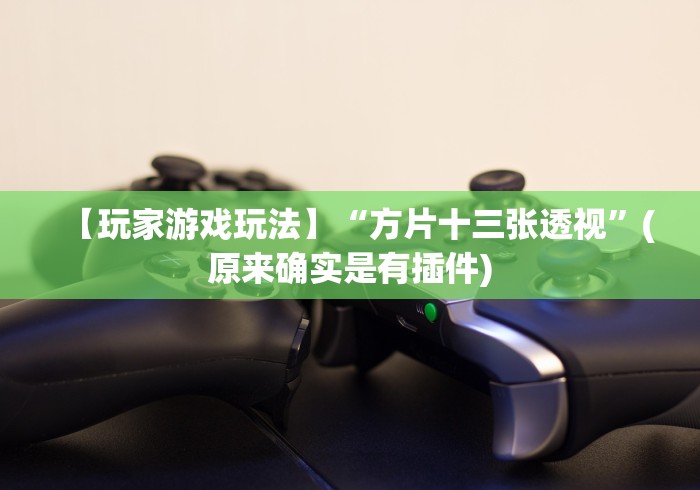 【第一发现】“大唐跑得快技巧”详细外挂安装步骤