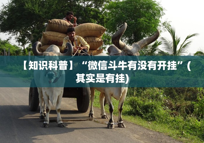 两分钟了解“九九麻将到底有挂吗”事实上确实有挂