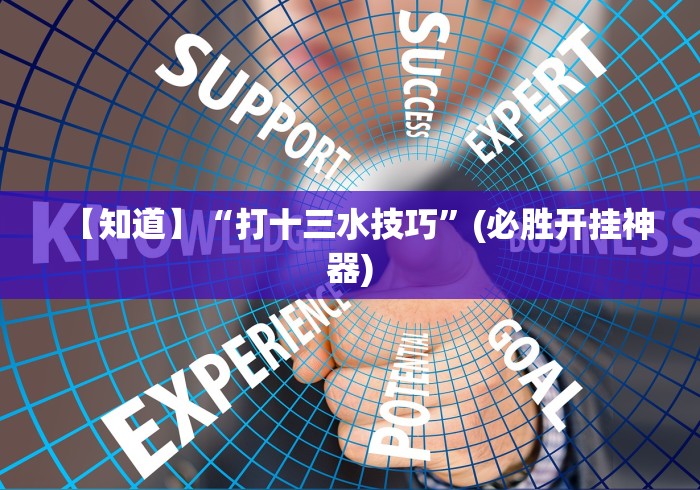 实测工具“哈狗十三道透视”作弊挂(辅助外挂+教程)