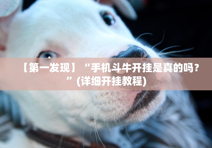 【玩家必备技术】“打十三水老是输是什么原因”(详细开挂教程)