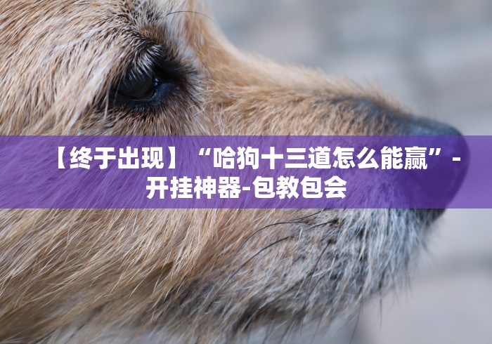 【技术分享】“微信财神十三张小程序如何赢分”开挂(透视)辅助教程
