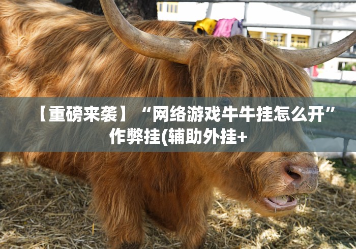 【一招分享】“微信大头十三水有挂吗”(曝光透视必备猫腻)