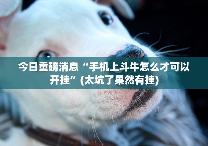 一分钟讲解“微乐三代二开挂视频教程2020(透视)”开挂(透视)辅助教程