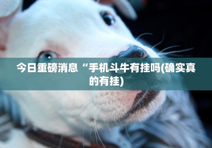 秒懂经验“微信斗地主可以开透视”原来可以开挂