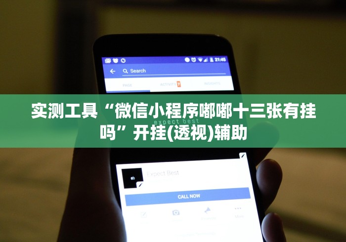 实测工具“微信小程序嘟嘟十三张有挂吗”开挂(透视)辅助