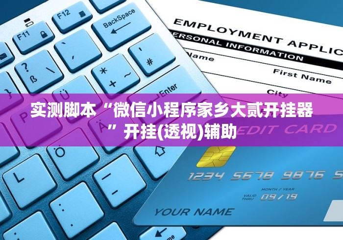 实测脚本“微信小程序家乡大贰开挂器”开挂(透视)辅助