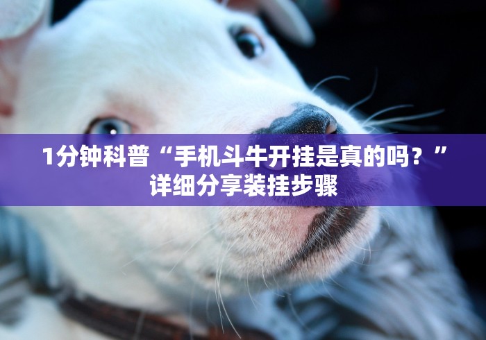 1分钟科普“手机斗牛开挂是真的吗？”详细分享装挂步骤