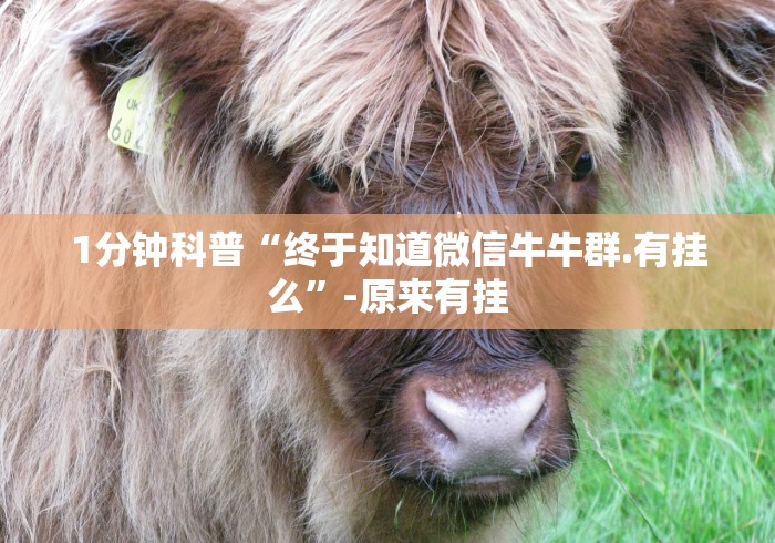 [分析]“旺旺冲击麻将怎么开挂”(透视曝光猫腻)