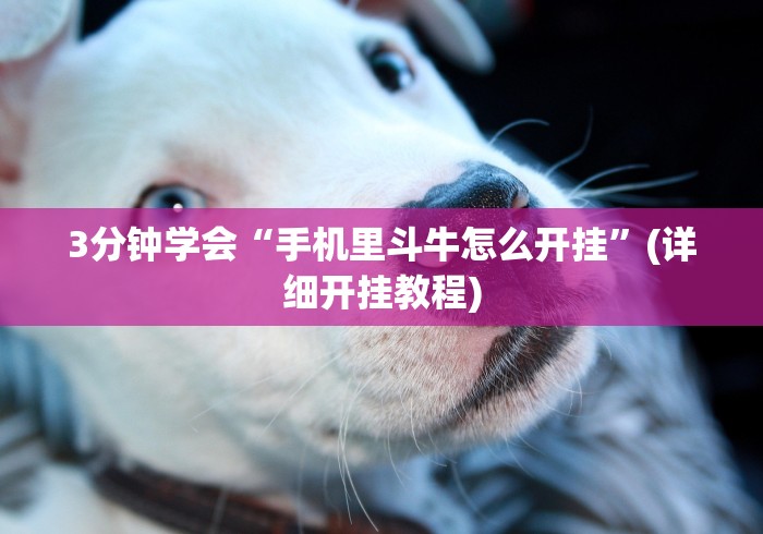 【最新科普】上品13水连续输2千多水”-原来有挂