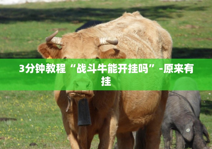 玩家最新攻略“九九山城麻将可以开挂吗”开挂安装教程