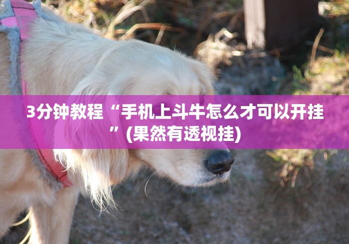 【第一消息】“微信斗牛能透视是真的吗？”开挂安装教程