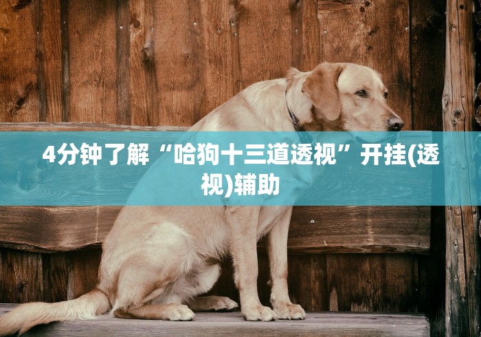 2026新发科技“牵手跑得快怎么开挂(确实真的有挂)-知乎
