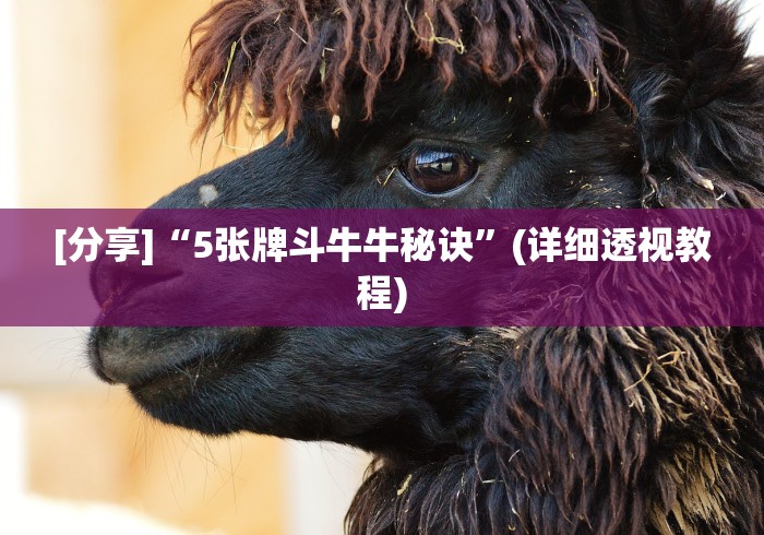 [推荐]“真人天天麻将可以开挂吗”揭秘透视辅助万能挂 