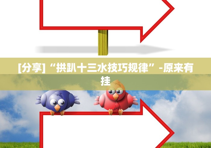 [分享]“拱趴十三水技巧规律”-原来有挂