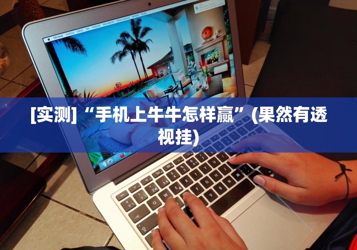 实测辅助“衡阳六胡抢技巧要领”确实可以使用辅助