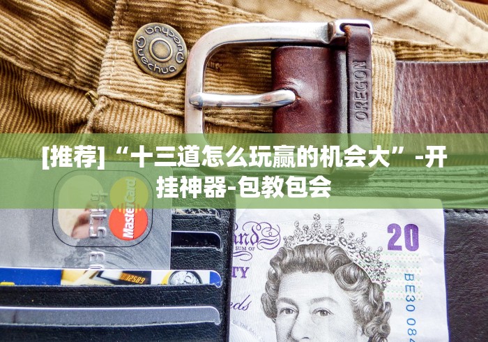 [推荐]“十三道怎么玩赢的机会大”-开挂神器-包教包会