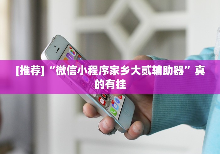 [推荐]“微信小程序家乡大贰辅助器”真的有挂