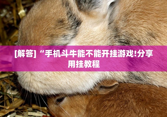 【出现一款新型】“十三水怎么赢钱”-开挂神器-包教包会