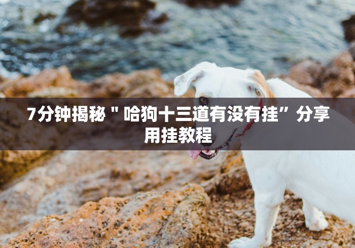 实测工具“威信茶馆开挂器”揭秘透视辅助万能挂 