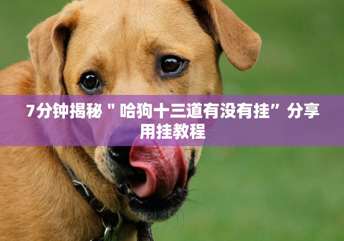 五分钟了解＂浙北十三张能开挂吗”(曝光透视必备猫腻)