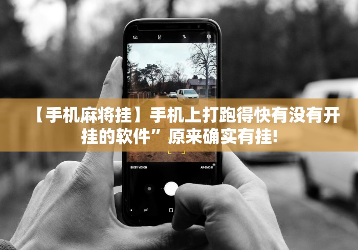 最新教程“乐乐川南字牌辅助器”详细外挂透视辅助软件教程