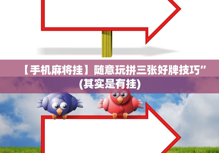 【重大消息】“开心十三张辅助挂”(透视)开挂辅助脚本+详细开挂安装教程