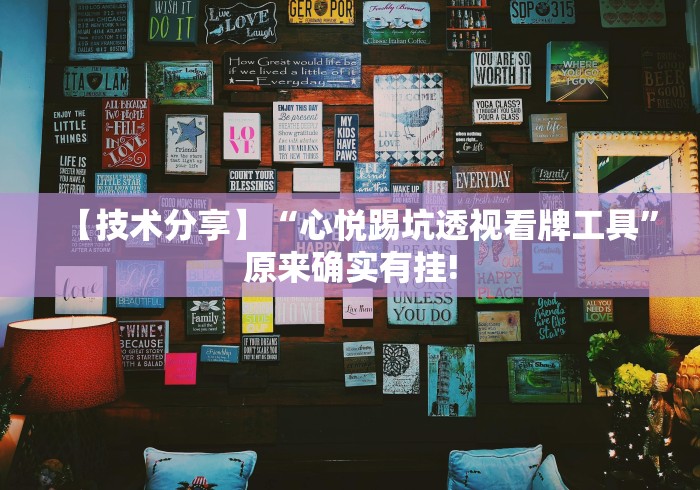 【技术分享】“心悦踢坑透视看牌工具”原来确实有挂!