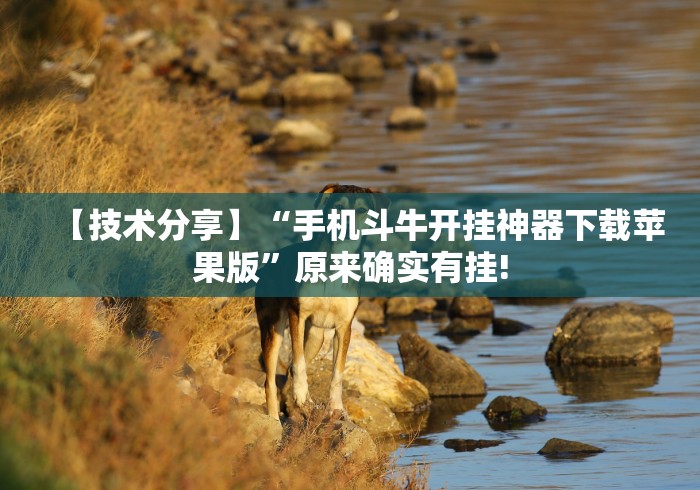 【技术分享】“手机斗牛开挂神器下载苹果版”原来确实有挂!