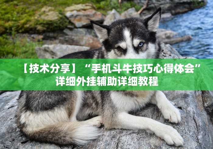 【第一发现】“微信作弊助手”分享用挂教程