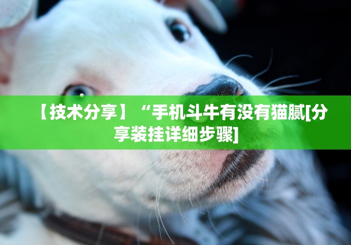 【技术分享】“手机斗牛有没有猫腻[分享装挂详细步骤]