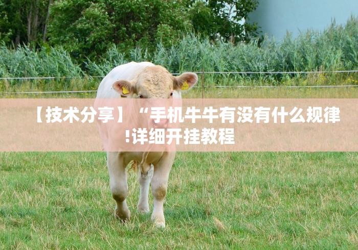 【技术分享】“手机牛牛有没有什么规律!详细开挂教程