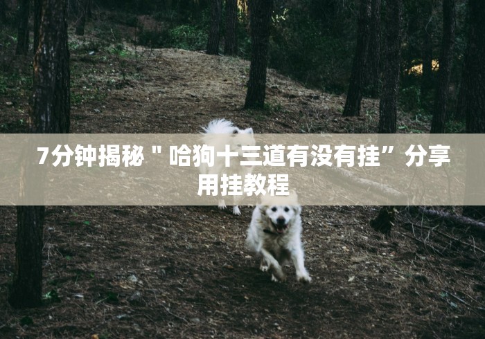 【重大消息】“微信十三张辅助器免费”分享必要外挂教程