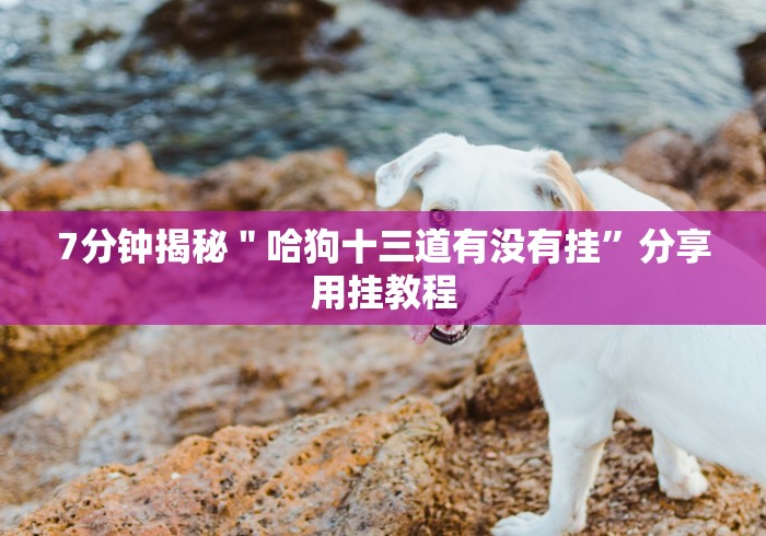 大家普及一下“天天重庆开挂是真的吗”必胜开挂神器