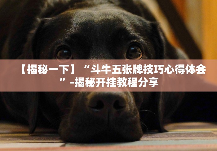 盘点微乐跑得快怎么提高胜率”开挂辅助软件教程