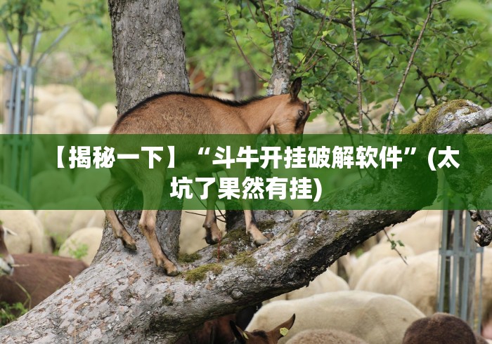 【给大家科普一下】“东方十三道有挂吗”开挂(透视)辅助教程